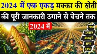 2024 में मक्का की खेती कब और कैसे करें  | Makka Ki Kheti Ki Puri Jankari | Maize Farming In India