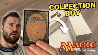 Magic The Gathering Collection Random Buy Filled With Commander Staples!