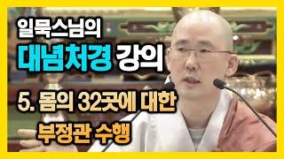 몸의 32곳에 대한 부정관 수행 - 일묵스님 대념처경 강의 05