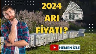 2024 ARI FİYATLARI ?