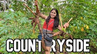 Filipina Farm Life: Countryside Farming Adventure in Philippines