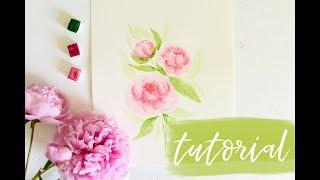 Loose Watercolor Peonies | Watercolor Peony Tutorial