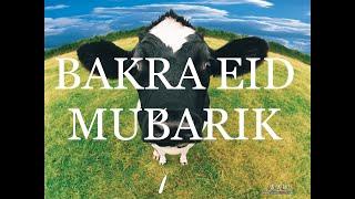 Eid Mubarik Everyone|Emaan’s World