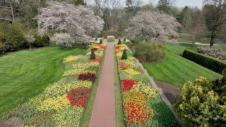 Spring flowers in full bloom at Longwood Gardens | Travel Smart