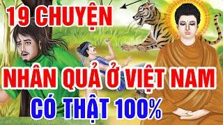 19 Chuyện Nhân Quả Phật Giáo , Gieo Nhân Gặt Quả - Luân Hồi Báo Oán Hay Nhất | Kể Chuyện Đêm Khuya