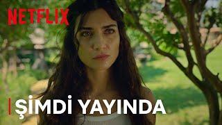 Zeytin Ağacı | Şimdi Yayında | Netflix