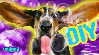 DIY Cute Dog Friendly Homemade Giant Bubbles  | UniLand Kids