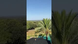 Finca Sa Massota | Luxus Finca auf Mallorca mieten | bei Landmark