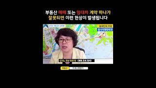 부동산 매매 임대차 계약이 잘못되면 이런 현상이 발생하게 됩니다 !  #부동산투자 #부동산매매 #아파트투자 #빌라전세 #아파트매매