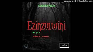 Mr Fila - Ezinzulwini[Feat. Tinta Tribe]