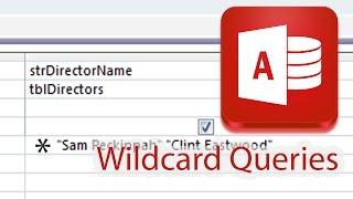 Wildcard Characters in Query Design Access