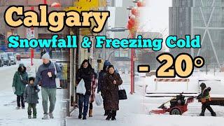 Snowfall and Freezing Cold in Calgary Alberta Canada. Calgary winter Walking tour #Calgary #snow