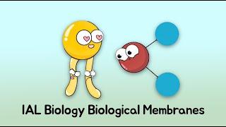 IAL Biology Unit 1 Biological Membranes