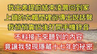 我出差提前結束淩晨回到家，上鎖的衣帽間裡卻傳出說話聲，我悄悄靠近後打開手機錄音，不料接下來聽到的內容，竟讓我發現隱藏十七年的祕密