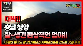 [임야매매] 충남 청양 잘~생긴 환상적인 저수지뷰 임야를 매매합니다!!/청양부동산/땅땅부동산TV