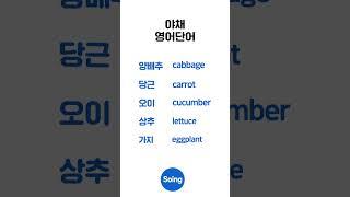 하루 5개 야채 영어｜일상필수영어 #영어단어 #영어공부