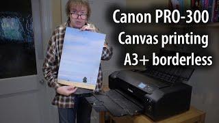 Canon PRO-300 printing a borderless A3+ (13"x19") canvas print