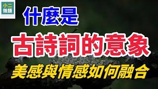 古诗词意象揭秘：如何影响诗歌的深度与美感？