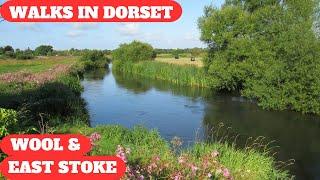 WALKS IN DORSET at WOOL & EAST STOKE (4K)