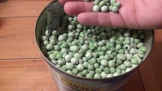 Food Review : Freeze Dried Peas (Saratoga Farms)