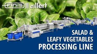 Salad processing line for washing and drying lettuce