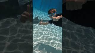 Freediving with sharks #Exuma Bahamas   #shorts