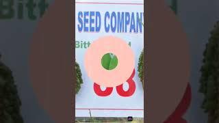 Kaveri Seed Company all Seeds and vegetables #kaveriseeds #youtubeshorts #shorts #farming