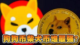 狗狗币柴犬币谁最强？从市值看两者差别！5月有甚么焦点迷因币？｜Cryptonews