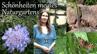 Schönheiten meines Naturgartens