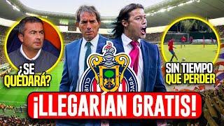 Noticias Chivas ALMEYDA O ALMADA GRATIS ¿SE Queda Ortega? Chivas SIN TIEMPO que Perder