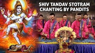 Shiv Tandav Stotram |  Recitation by traditional North Indian Brahmins