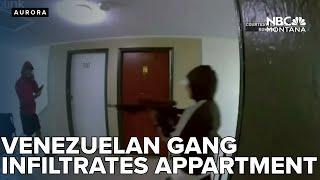 Shocking video shows men linked to Venezuelan gang infiltrating Colorado apartment complex