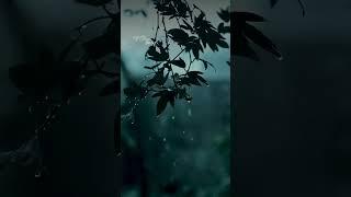 Soothing Sleep Time |  Relaxation & Sweet Dreams اسراحت و  الهام بخش #relax #meditationmusic