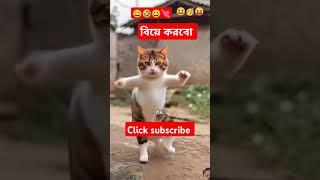 Biye korbo biye korbo #trending #funny #cuteanimal #shortvideo