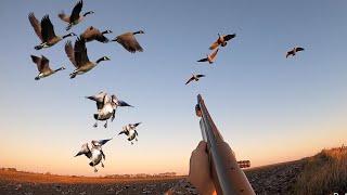 These Geese Were Too Close! (Duck and Goose Hunting)