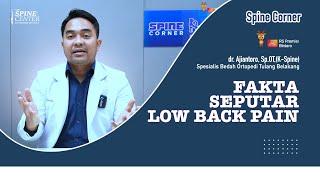 SPINE CORNER: Fakta Menarik Seputar Low Back Pain/Nyeri Punggung Bawah