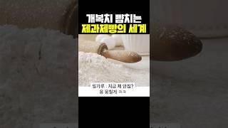 개복치 뺨치는 제과제빵의 세계