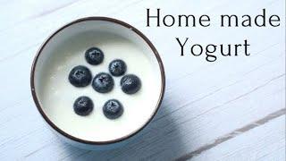 Home made yogurt| Reducing food waste| frugal living