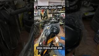 3-LAYER GLOSS PPF | 2024 HIMALAYAN 450 | JODHPUR