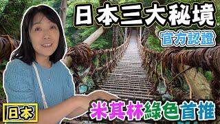 【冒險德島】祖谷蔓橋 鳴門漩渦觀光船 大步危峽谷船遊的震撼之旅 ft.日本四國大冒險