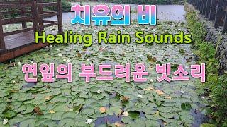 The best rain sounds to guide you into deep sleep / Rain sounds to treat insomnia and tinnitus