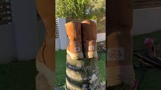 UGG Rio Terrain Outdoor Boots