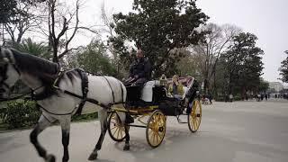 Maria Luisa Park, Seville, Spain - Walk in 4K