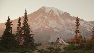 Intimate Wedding in Mt. Rainier National Park