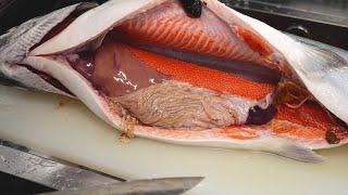 Unbelievable: Found Something Shocking in a 60,000 Yen Salmon's Stomach from the Market! Why?