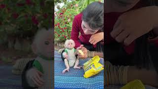#babymonkey #monkey Duke #smart monkey #funny monkey #adorable monkey