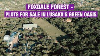 Foxdale Forest - Plots for sale in Lusaka's green oasis