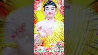 Niệm Phật Một Câu Phước Sanh Vô Lượng #669I Từ Vinh #nammôadiđàphật #buddha #loiphatday #adidaphat