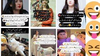 most funny poetry fir eid, Badi eid Funny vidio, Bakra eid shairi