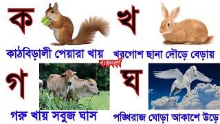 Bengali Banjanvarno | ক খ গ ঘ ঙ বাংলা ব্যঞ্জনবর্ণ | क ख ग घ च | Ka Kha Ga Gha | Banjonborno #কখগঘঙ